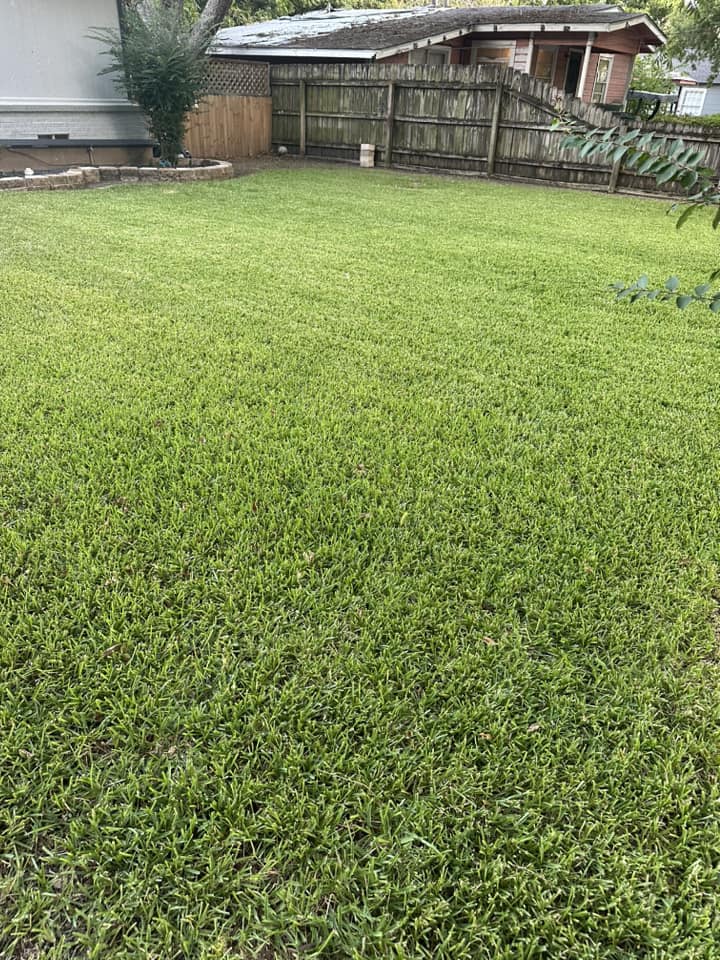 Dependable Lawn Mowing Solutions
